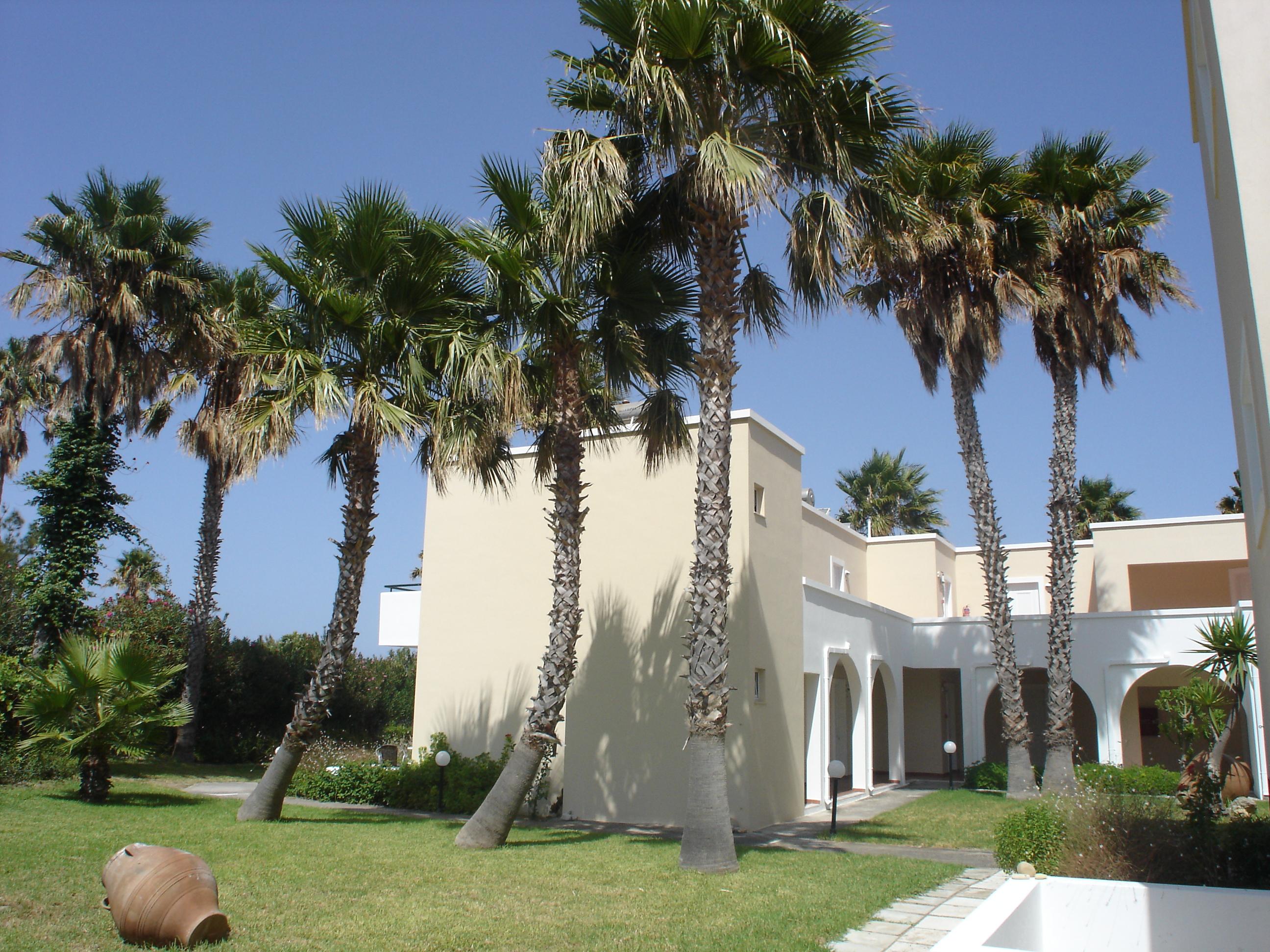 Andromeda Hotel Apartments Psalidi  Exterior photo